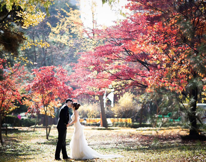 Korea Outdoor Photoshoot Experience by 9 Studio - Choosing your five photos