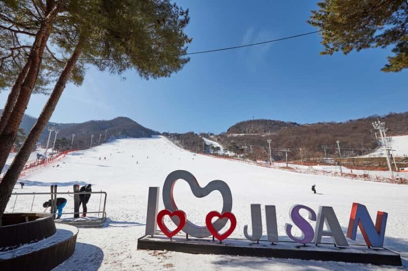 Korea Ski Tour from Seoul - Jisan Resort with Isaac Toast - Who Should Consider This Tour?
