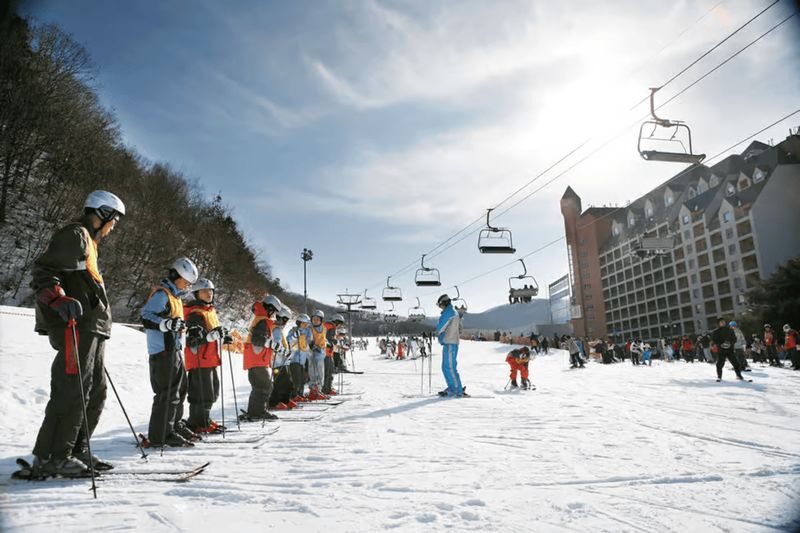 Korea Ski Tour from Seoul - Jisan Resort with Isaac Toast - Beginner lessons with Leo, Roger, Dean, or Sun