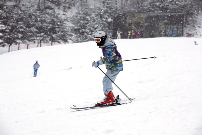 Korea Ski Tour from Seoul - Jisan Resort with Isaac Toast - Before you book