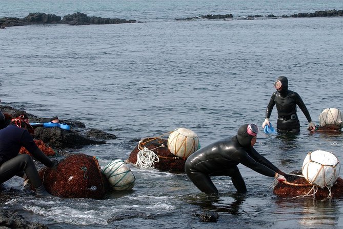 Korea UNESCO Sites 9days 8nights - Meeting Points