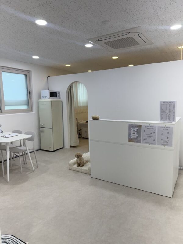 Korean Head Spa & Waxing experience in Busan, Gwanganri - What makes the salon experience feel personal