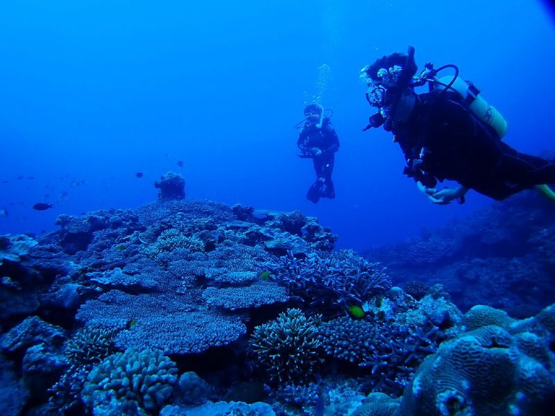 Korean Support: Okinawa Blue Cave Boat Experience Diving (Free Photo Shoot/No License Required) - From check-in to the boat