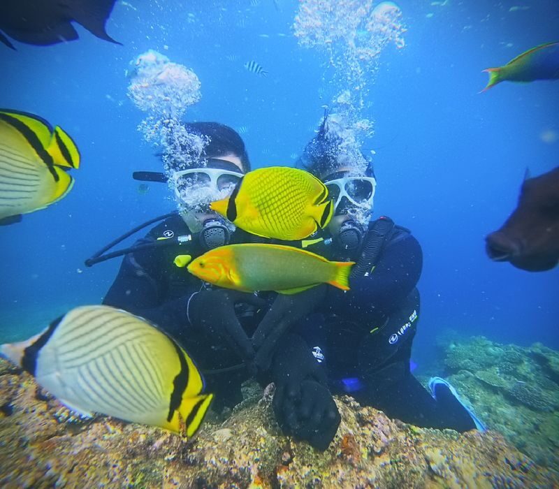 Korean Support: Okinawa Blue Cave Boat Experience Diving (Free Photo Shoot/No License Required) - The boat ride and the underwater route