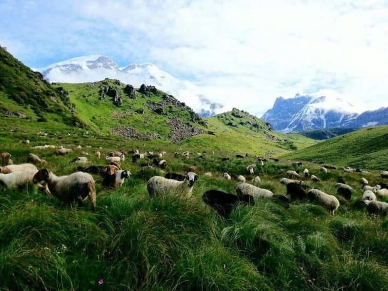 Kori Danda 3-Day Trek - Good To Know