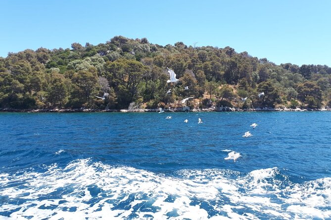 Kornati & Telascica Summer Boat Tour , Gratis Mask and Snorkel - The Sum Up