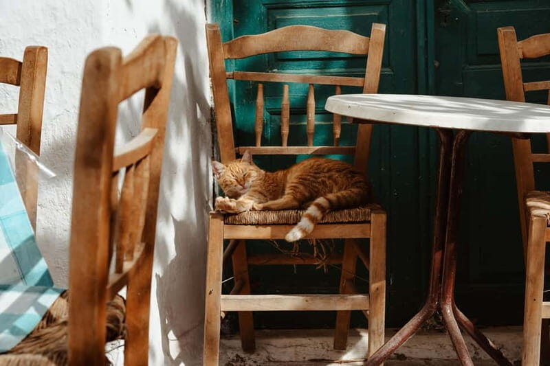 Koronos: Cook, Craft & Explore a Traditional Naxian Village - Practicalities and Logistics