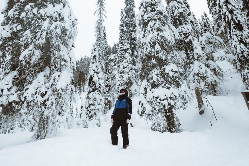 Korouoma Canyon and Frozen Waterfall Tour from Rovaniemi - Korouoma at a glance