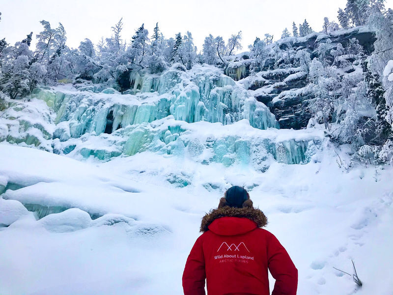 Korouoma Canyon and Frozen Waterfall Tour from Rovaniemi - Icefalls, forest details, and changing seasons