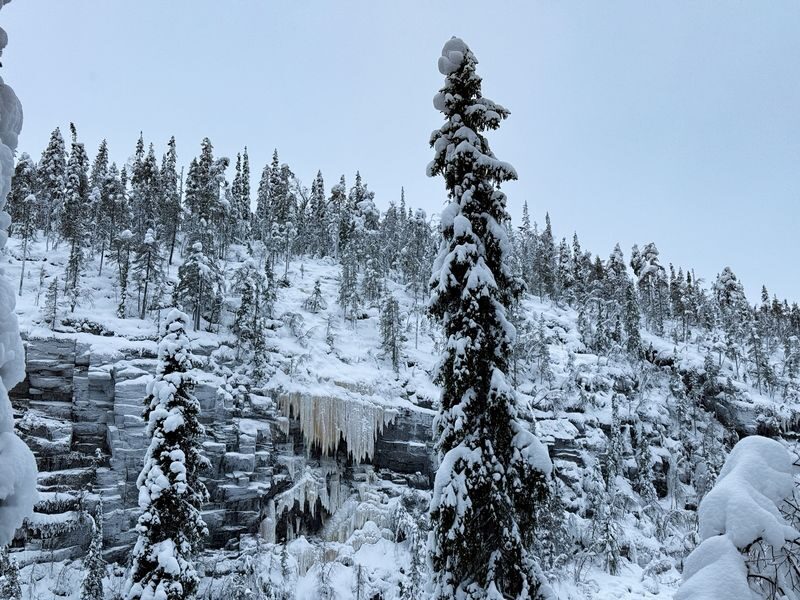 Korouoma Canyon and Frozen Waterfall Tour from Rovaniemi - A campfire stop, not a large lunch