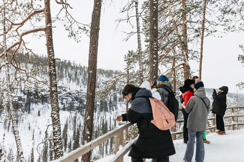 Korouoma Canyon and Frozen Waterfall Tour from Rovaniemi - Group size and guide support