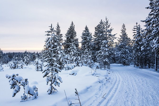 Korouoma Canyon Snowshoe Trip - Trip Details