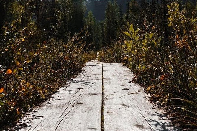 Korouoma National Park & Frozen Waterfalls Adventure - Pickup and Transfer Information