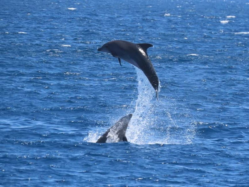 Kos: 3-Island Cruise with Lunch and Hotel Transfer - FAQs