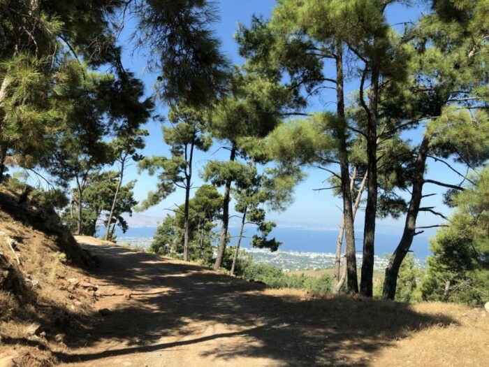 Kos 4x4 Exploration: Panoramic Views, Villages & Flavors - FAQs