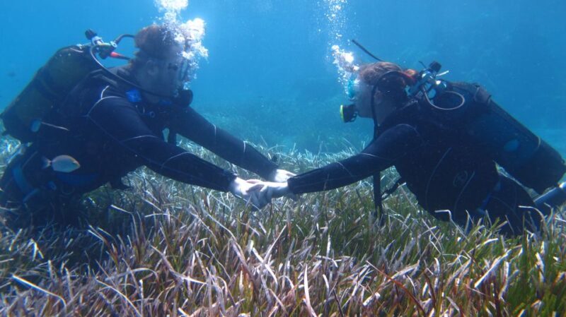 Kos: Beginner Scuba Diving at Pserimos Island - Final Thoughts: Authentic, Accessible, and Fun