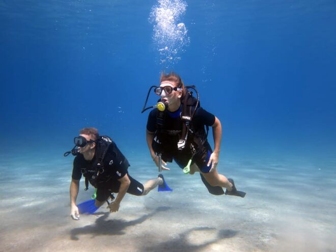 Kos: Beginner Scuba Diving From the Beach With Pickup - Inclusion of Services and Gear