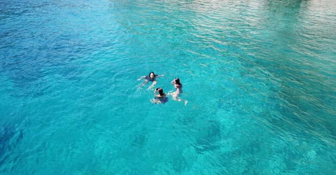 Kos: Exclusive Beach Experience With Transfer - Marine Life Encounters