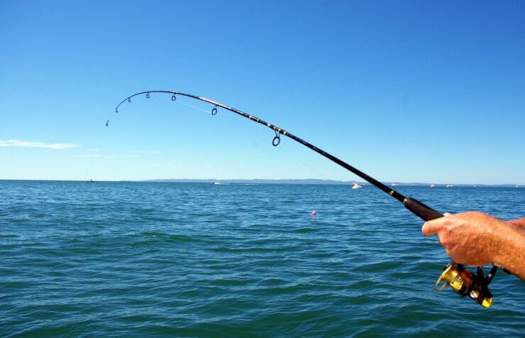 Kos: Fishing Trip Experience With a Greek Fisherman's Family - Booking Details
