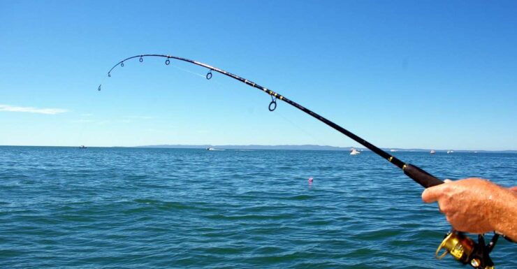 Kos: Fishing Trip Experience With a Greek Fisherman's Family - Experience Highlights