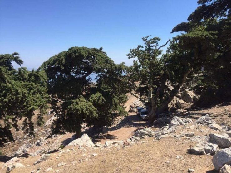 Kos: Full-Day Jeep Safari With Lunch - Activity Details