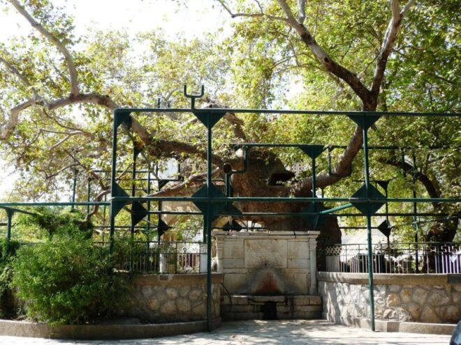 Kos: Island Highlights Bus Tour With Greek Honey Tasting - Important Information