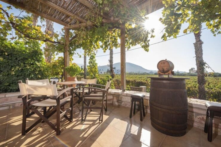 Kos Island: Wine Tasting & Zia Village Visit for Sunset - Tour Description