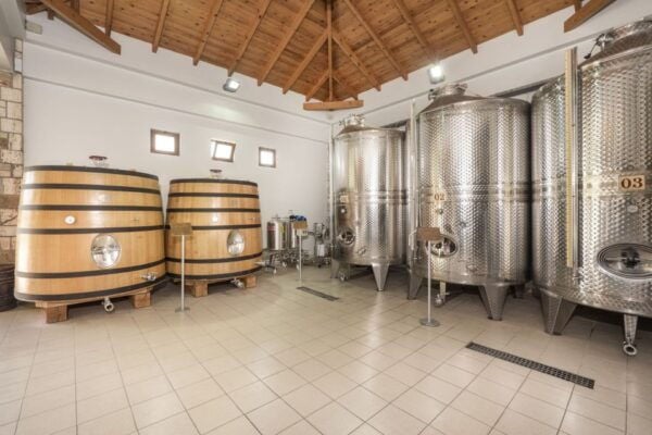 Kos Island: Wine Tasting & Zia Village Visit for Sunset - The Sum Up