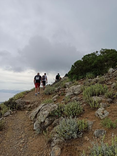 Kos: Moderate Hiking Tour on Dikaios Mountain - Activity Highlights