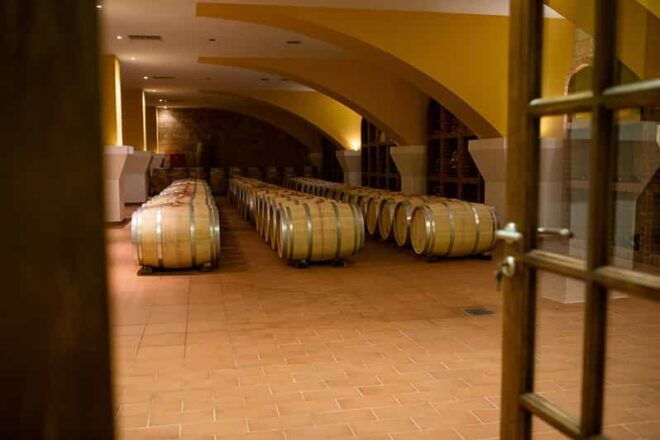 Kos: Wine Tasting and Dinner With Private Transfer - Participant Guidelines
