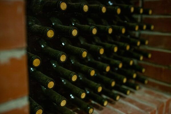 Kos: Wine Tasting and Dinner With Private Transfer - Why Choose This Experience