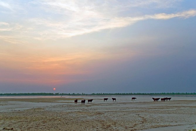 Koshi Tappu Wildlife Reserve Tour From Kathmandu - Common Questions