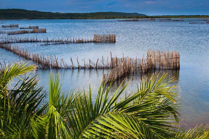 Kosi Bay Mouth Experience - Kayaking, Snorkeling, Fish Trap Tour and Fish Braai - Kayaking