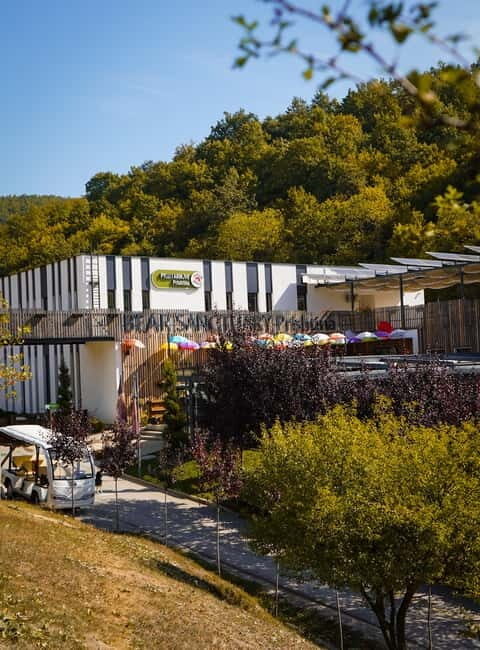 Kosovo: Bear Sanctuary Prishtina, (guided tour & shuttle) - A Detailed Look at the Kosovo Bear Sanctuary Experience