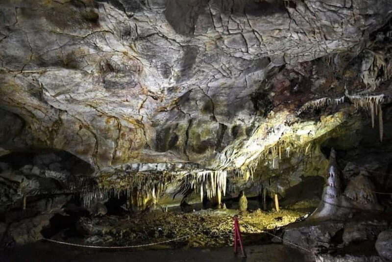 Kosovo day trip from Skopje - Pricing and Value