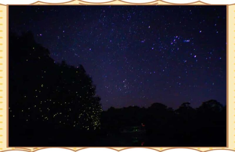 Kota Kinabalu: 1-Day Mengalum Isle & Mengkabong River Cruise - Practical Details: Transportation, Duration, and Cost-Effectiveness