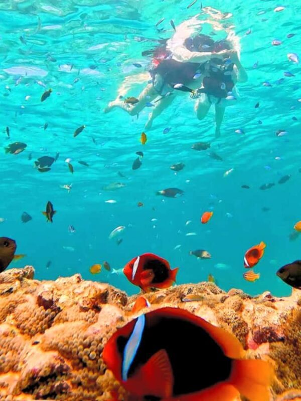 Kota Kinabalu: 1-Day Mengalum Isle & Mengkabong River Cruise - The Sum Up