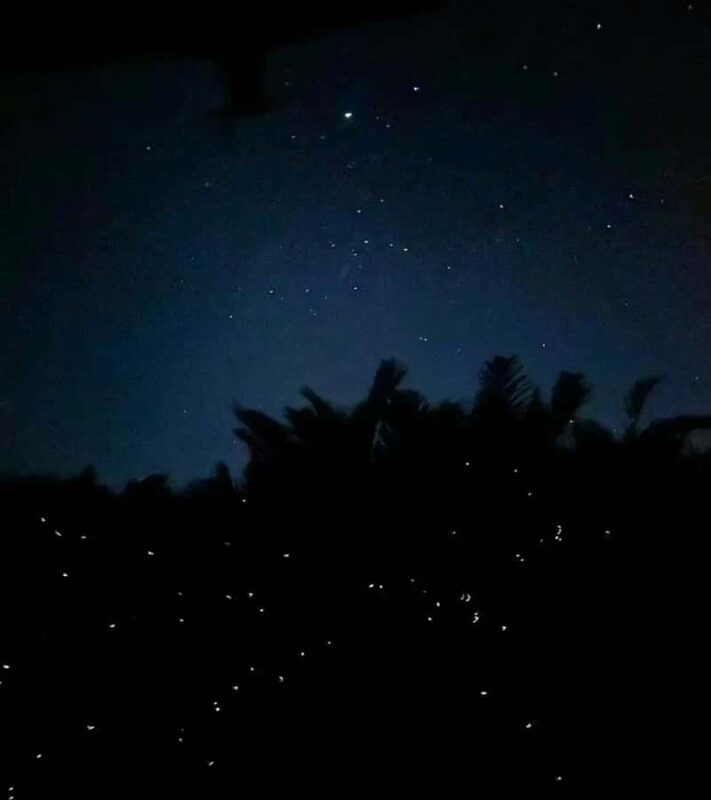 Kota Kinabalu: 5-in-1 Kinabalu View, Fire Show, Blue Tear - Final Thoughts