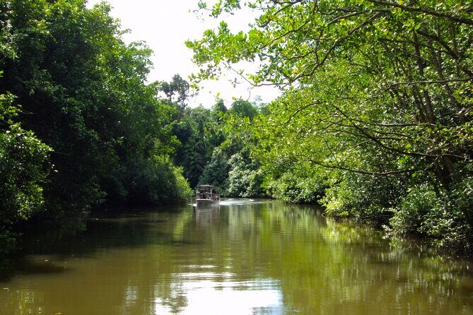 Kota Kinabalu: Beringgis Mangove Fireflies, Sunset Tour & Dinner - Exploring the Tour Itinerary in Detail