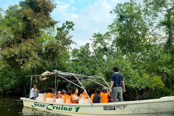 Kota Kinabalu: Beringgis Mangove Fireflies, Sunset Tour & Dinner - Good To Know