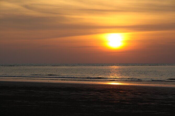 Kota Kinabalu: Beringgis Mangove Fireflies, Sunset Tour & Dinner - An In-Depth Look at the Tour Experience