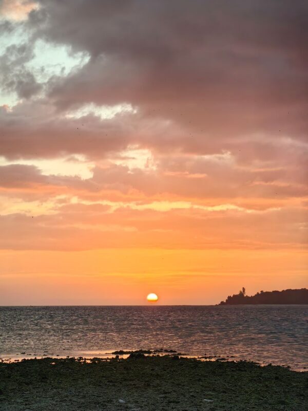 Kota Kinabalu Bongawan Full-Day Tour - Mangroves, monkeys and the limits of wildlife watching