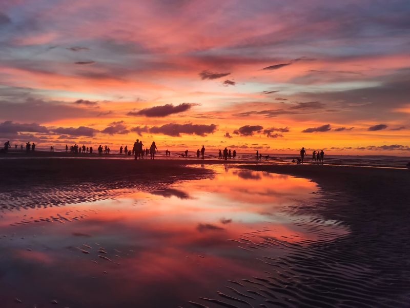 Kota Kinabalu Bongawan Mangrove Sunset Guided Tour - The guide, driver, food, and small comforts
