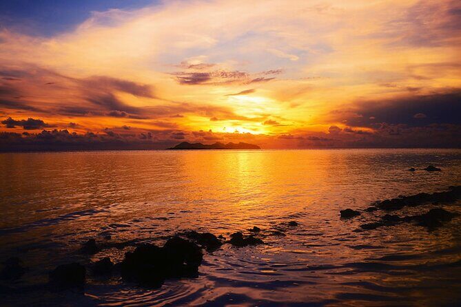 Kota Kinabalu: Bongawan River Cruise, City Tour & Fireflies - Final Thoughts