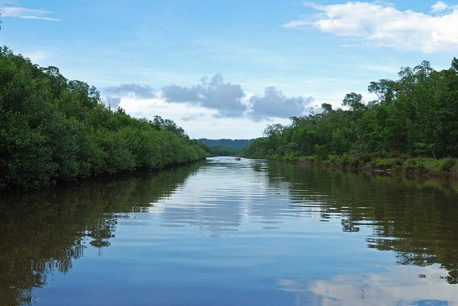 Kota Kinabalu K2 Fireflies Sunset River Cruise Tour With Dinner - Inclusions and Exclusions
