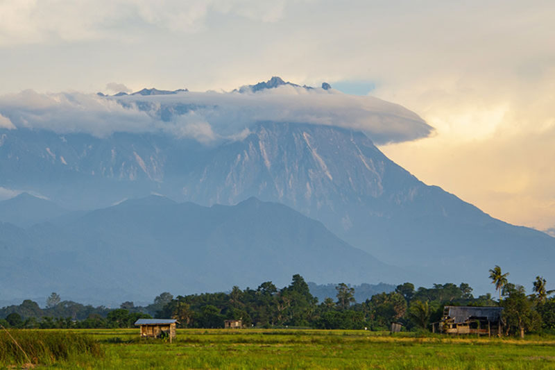 Kota Kinabalu Kinabalu Park Full-Day Private Mountain Tour - What to know before you go