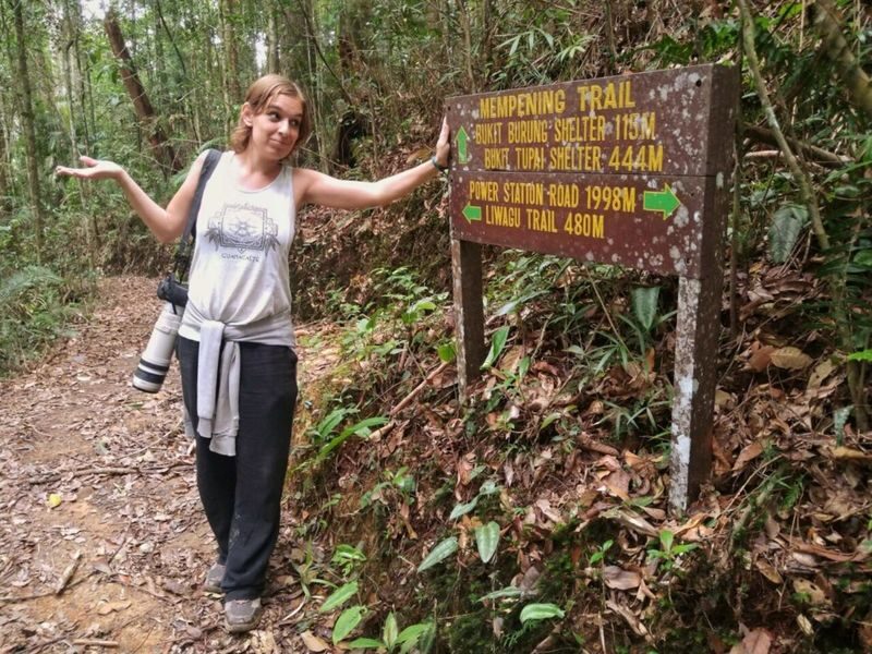 Kota Kinabalu Kinabalu Park Full-Day Private Mountain Tour - Kundasang, Poring and the route’s open questions