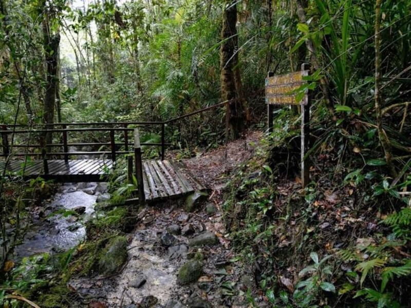 Kota Kinabalu Kinabalu Park Full-Day Private Mountain Tour - A guide who adds local detail