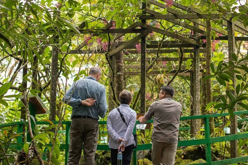 Kota Kinabalu Kinabalu Park Full-Day Private Mountain Tour - Is the $119.75 starting price good value?