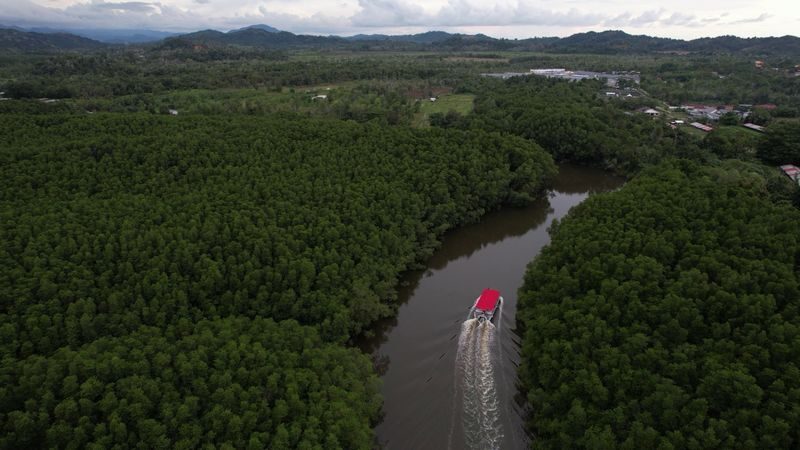 Kota Kinabalu Kinarut Firefly Half-Day Guided Tour - Tea, a breather, and the first river cruise